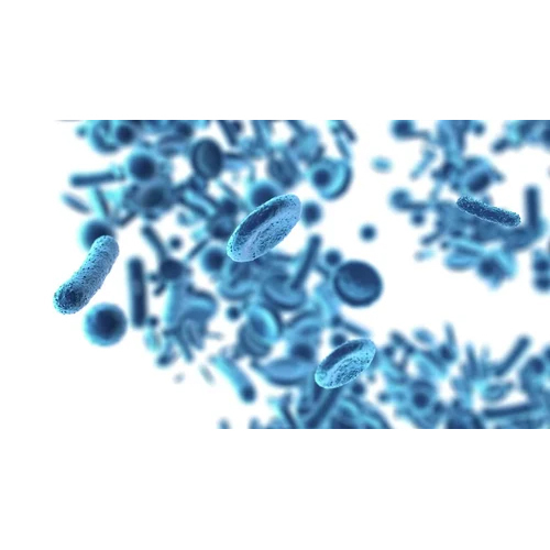 Euromex Binocular Polarizing Microscope