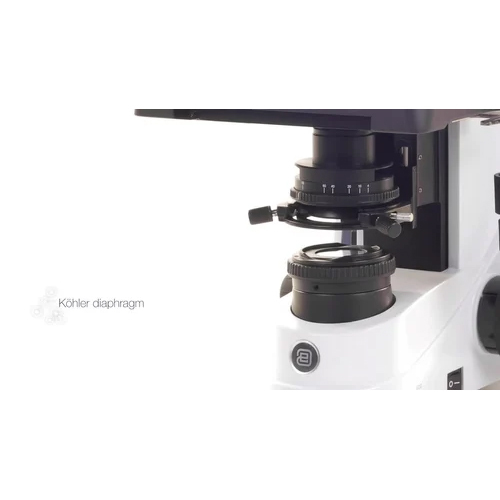 Euromex Binocular Polarizing Microscope