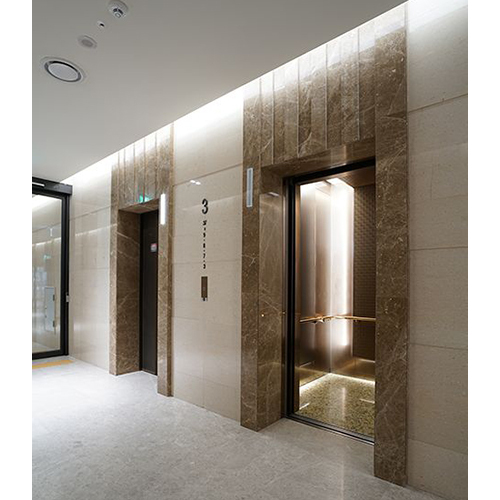 Apartment Elevator - Capacity: 4 To 15 Passengers Ton
