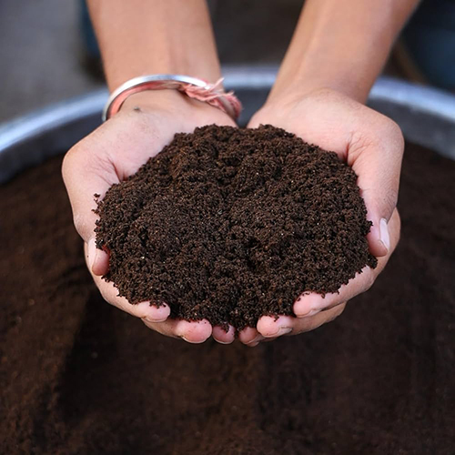 Agriculture Vermicompost Fertilizer