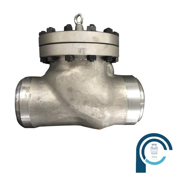 SS 316 Single Check Valve