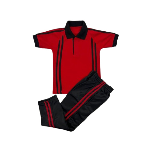 School Sports Lower And T-Shirt