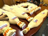 Blonde Hair Bundles In Hair King India - Application: Profesional