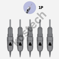 Charment Pen And Charmer Princess Digital Needles Or Cartridges