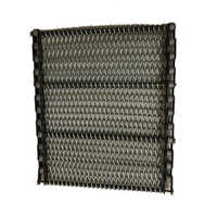 SS Wire Mesh Conveyor Belt