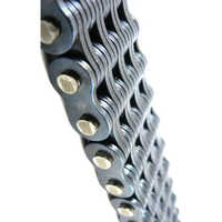Leaf Roller Chain