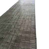 Stainless Steel Enrober Belt - Color: Silver