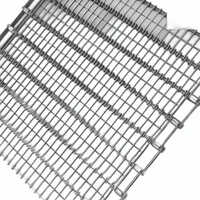 Eye Link Conveyor Belt - Color: Silver