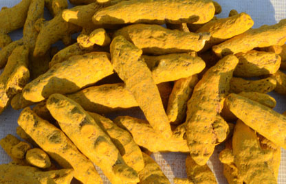 हल्दी की अंगुली