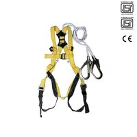 Rohoni Full Body Harness & Lanyards