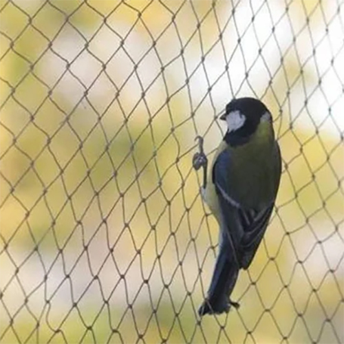 Anti Bird Net - Color: Silver