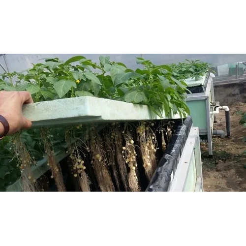Agriculture Aeroponic System - Advantage: Easy Assembled