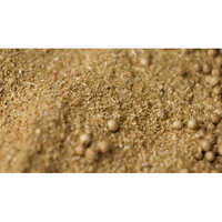 Coriander Powder