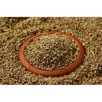 Carom Seeds