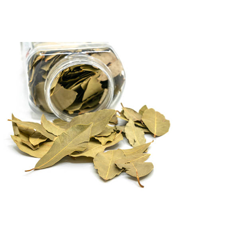 Bay Leaf - Color: Green