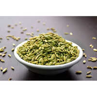 Green Fennel