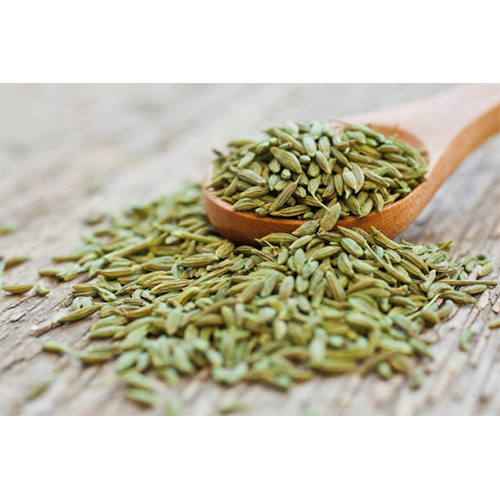 Green Fennel
