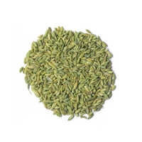 Green Fennel