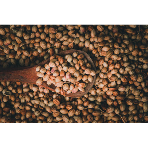 Coriander Seed