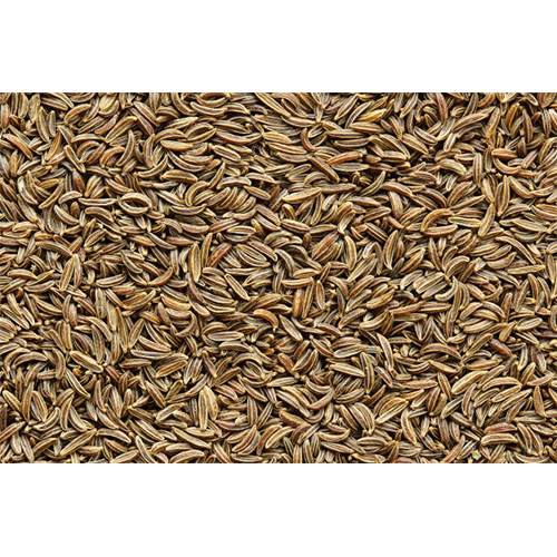 Caraway Seeds - Color: Brown