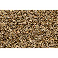 Caraway Seeds