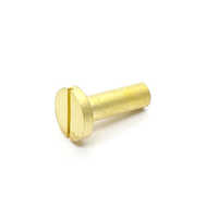 Brass Slotted File Screw - Color: Golden