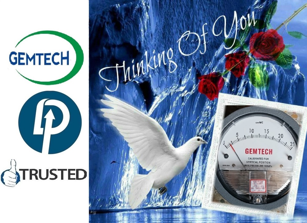 Marketing By D.p.engineers In Delhi Gemtech Differential Pressure Gauges Products