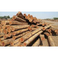 Timber Wood Log