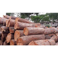 Neem Wood Timber Logs - Grade: Industrial