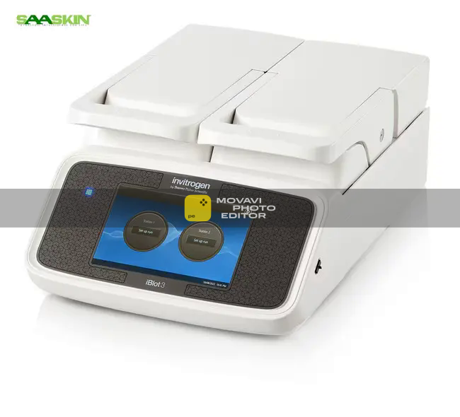 Thermo Fisher Scientific Invitrogen iBlot 3 Western Blot Transfer Device