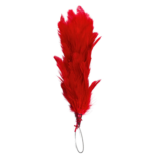 NCC Hackle