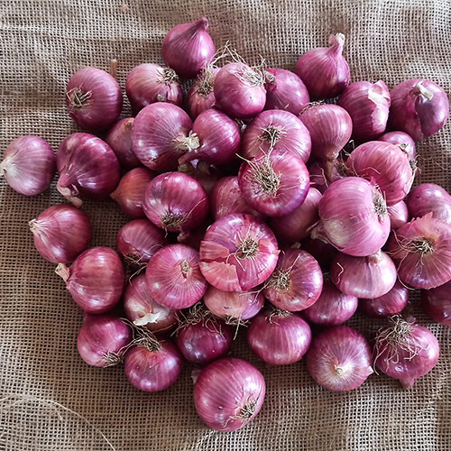 Nashik Onion 45-55mm