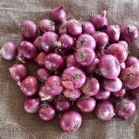 Nashik Onion 45-55mm