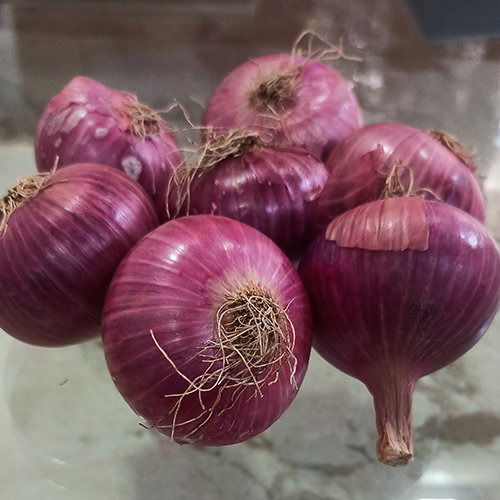 Nashik Onion 45-55mm