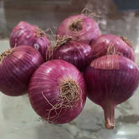 Nashik Onion 45-55mm
