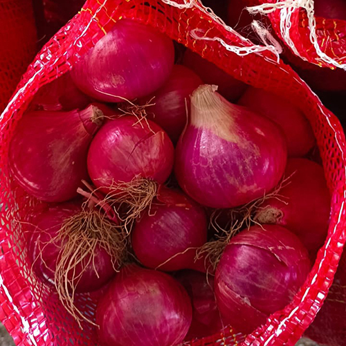 Nashik Onion 45-55mm