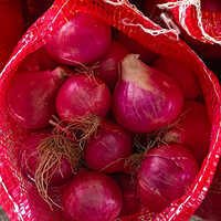 Nashik Onion 45-55mm
