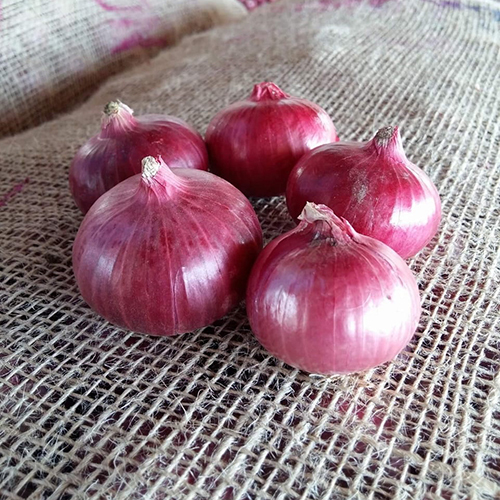 Nashik Onion 45-55mm