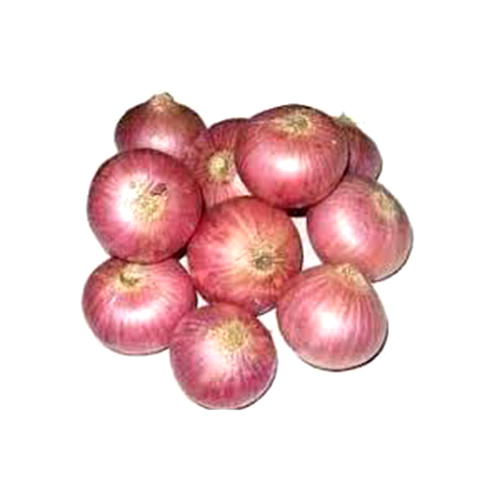 Nashik Onion 55mm Plus