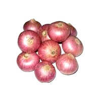 Nashik Onion 55mm Plus