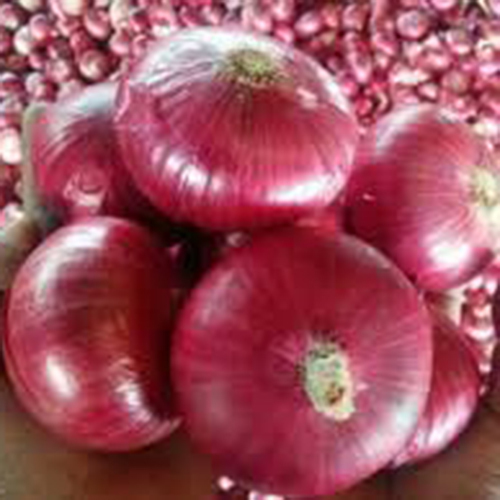 Nashik Onion 55mm Plus