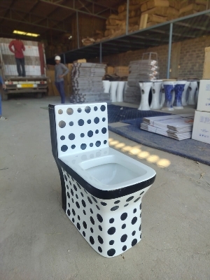 Glossy Finish Designer One Piece Toilet