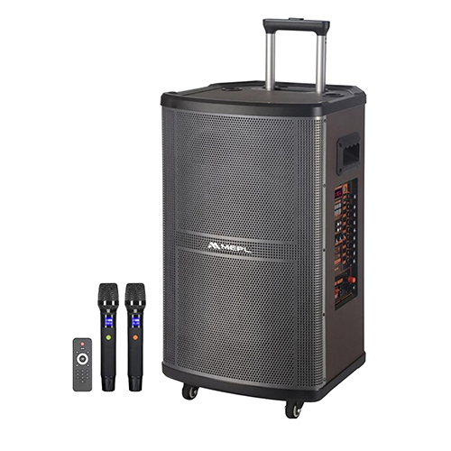 12 इंच पोर्टेबल कराओके स्पीकर