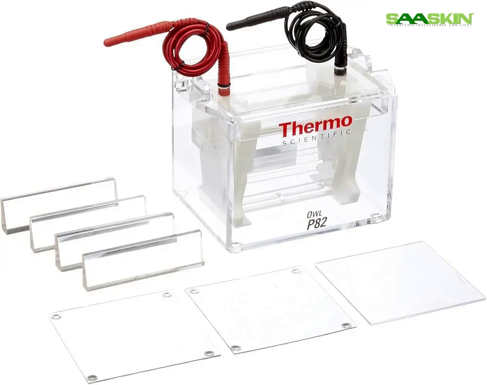 Thermo Scientific Owl A3-1 Large-Gel Electrophoresis System