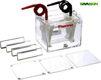 Thermo Scientific Owl A3-1 Large-Gel Electrophoresis System