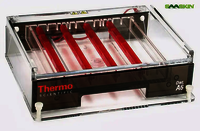 Thermo Scientific Owl A6BP Wide Gel Horizontal Electrophoresis System