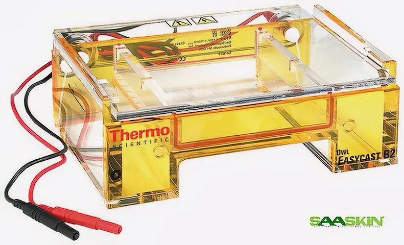 Thermo Scientific Owl EasyCast B2 Mini Gel Electrophoresis Systems