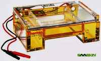 Thermo Scientific Owl EasyCast B2 Mini Gel Electrophoresis Systems