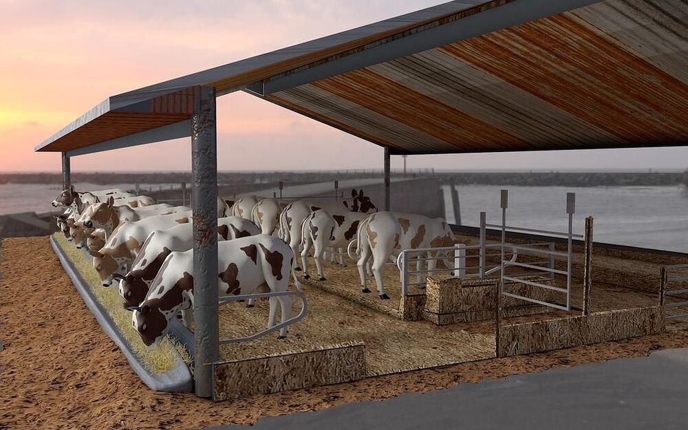 Cattle Shed Tubular - Floor Material: Na