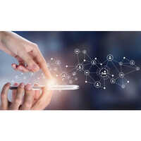 Networking Solution Services